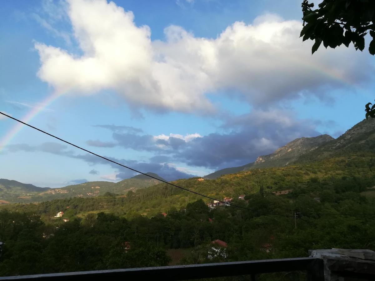 Villa Plataniotissa Mansion Kalavryta Esterno foto